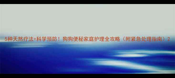 图片 5种天然疗法+科学预防！狗狗便秘家庭护理全攻略（附紧急处理指南）2