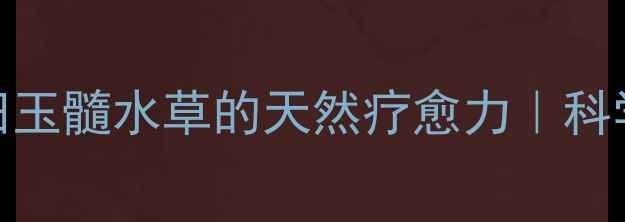 图片 ✨养生必看蓝田玉髓水草的天然疗愈力｜科学+搭配指南🌿2