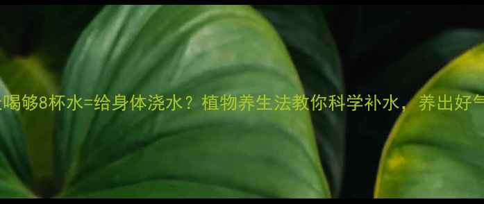 图片 ✨每天喝够8杯水=给身体浇水？植物养生法教你科学补水，养出好气色！2