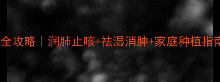 图片 ✨水仙草养生全攻略｜润肺止咳+祛湿消肿+家庭种植指南（附食谱）1