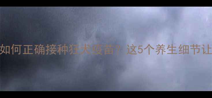 图片 ✨疫苗安全指南如何正确接种狂犬疫苗？这5个养生细节让免疫力翻倍！🌟