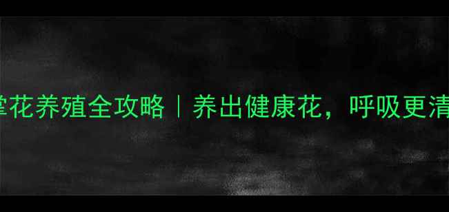 图片 ✨红掌花养殖全攻略｜养出健康花，呼吸更清新✨1
