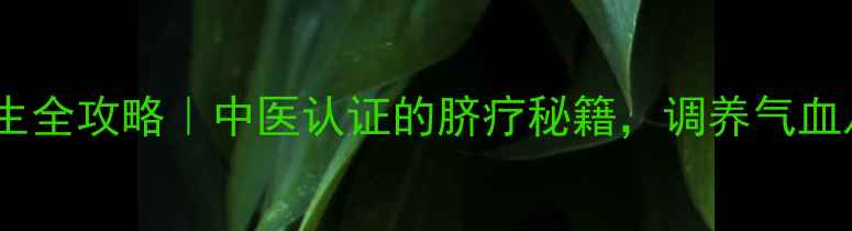 图片 ✨肚脐贴膏药养生全攻略｜中医认证的脐疗秘籍，调养气血从神阙穴开始🌿2
