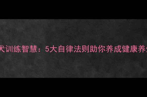 图片 ✨萨摩耶犬训练智慧：5大自律法则助你养成健康养生习惯✨2
