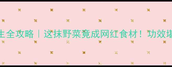 图片 ✨麻芷菜养生全攻略｜这抹野菜竟成网红食材！功效堪比阿胶？🌿