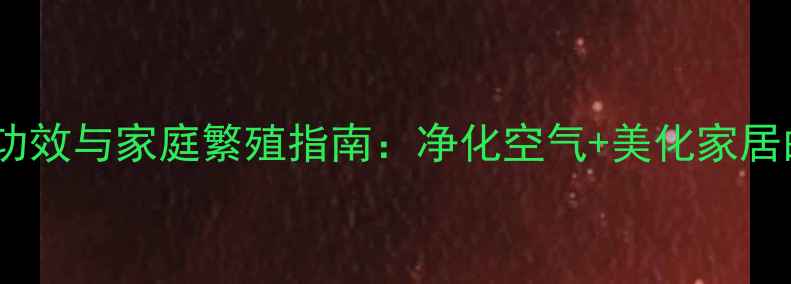 图片 一叶兰的养生功效与家庭繁殖指南：净化空气+美化家居的天然守护者1