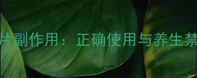 图片 三七伤药片副作用：正确使用与养生禁忌全指南
