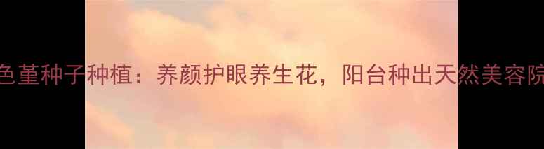 图片 三色堇种子种植：养颜护眼养生花，阳台种出天然美容院✨