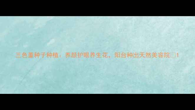 图片 三色堇种子种植：养颜护眼养生花，阳台种出天然美容院✨1