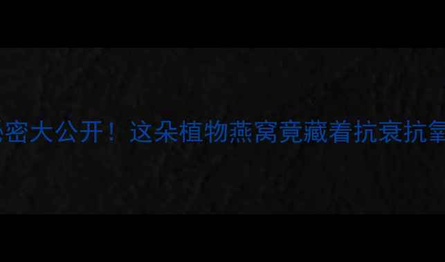 图片 丑耳的养生秘密大公开！这朵植物燕窝竟藏着抗衰抗氧的终极密码1