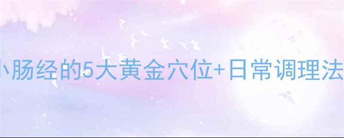 图片 中医养生必看！疏通小肠经的5大黄金穴位+日常调理法，助你告别便秘失眠2