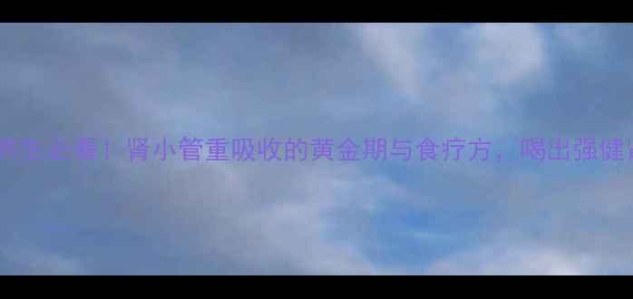 图片 中医养生必看！肾小管重吸收的黄金期与食疗方，喝出强健肾脏1