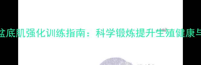 图片 中国男性盆底肌强化训练指南：科学锻炼提升生殖健康与体态平衡