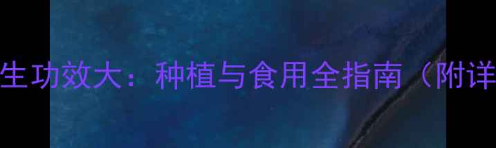 图片 二月兰养生功效大：种植与食用全指南（附详细步骤）