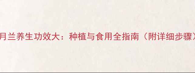 图片 二月兰养生功效大：种植与食用全指南（附详细步骤）1