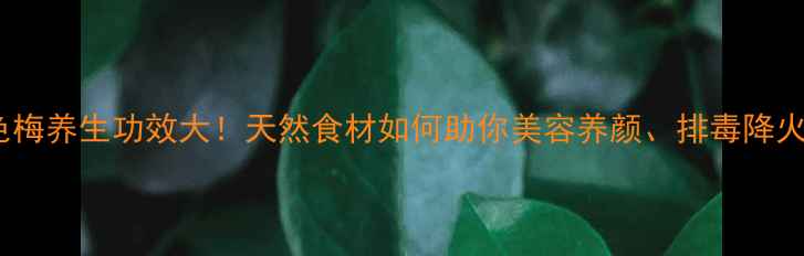 图片 五色梅养生功效大！天然食材如何助你美容养颜、排毒降火？2