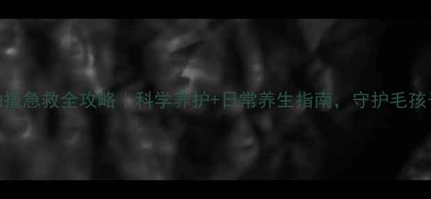 图片 仓鼠抽搐急救全攻略｜科学养护+日常养生指南，守护毛孩子健康