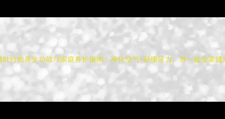 图片 佛肚竹的养生功效与家庭养护指南｜净化空气+舒缓压力，养一盆全家健康