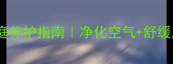 图片 佛肚竹的养生功效与家庭养护指南｜净化空气+舒缓压力，养一盆全家健康1