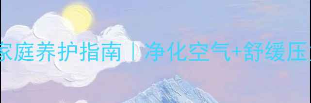 图片 佛肚竹的养生功效与家庭养护指南｜净化空气+舒缓压力，养一盆全家健康2