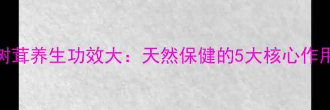 图片 俄罗斯白桦树茸养生功效大：天然保健的5大核心作用与食用指南