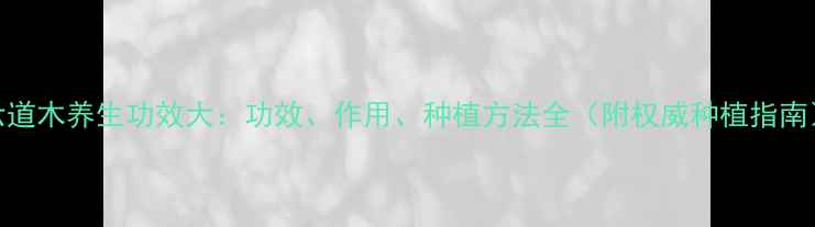图片 六道木养生功效大：功效、作用、种植方法全（附权威种植指南）