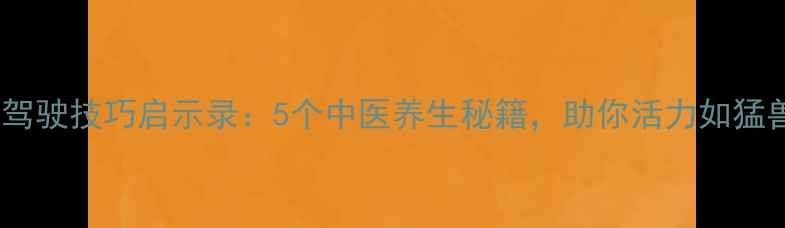 图片 兰博基尼驾驶技巧启示录：5个中医养生秘籍，助你活力如猛兽🏎️💪2