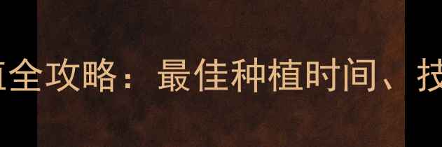 图片 养生姜家庭种植全攻略：最佳种植时间、技巧与养生功效2