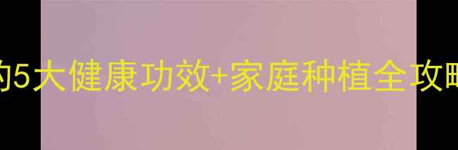 图片 养生指南小米椒的5大健康功效+家庭种植全攻略（附食疗搭配）