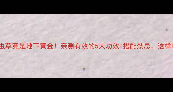 图片 养生秘籍地蚕虫草竟是地下黄金！亲测有效的5大功效+搭配禁忌，这样吃效果翻倍！1