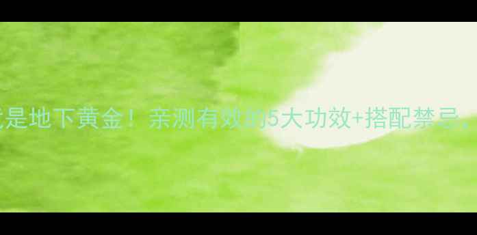 图片 养生秘籍地蚕虫草竟是地下黄金！亲测有效的5大功效+搭配禁忌，这样吃效果翻倍！2