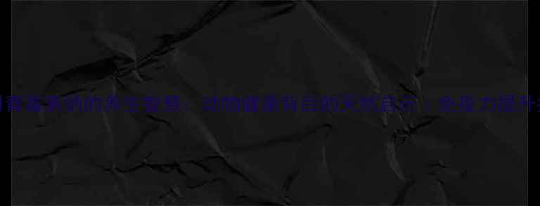 图片 兽用青霉素钠的养生智慧：动物健康背后的天然启示｜免疫力提升指南