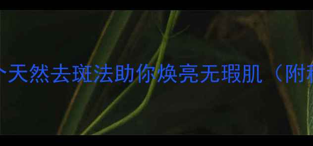 图片 内调外养双管齐下：5个天然去斑法助你焕亮无瑕肌（附科学原理与真人实测）2