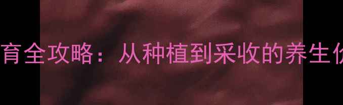 图片 冬虫夏草人工培育全攻略：从种植到采收的养生价值与操作指南2