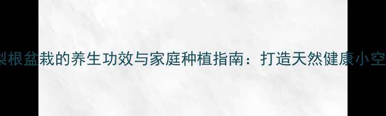 图片 凤梨根盆栽的养生功效与家庭种植指南：打造天然健康小空间2