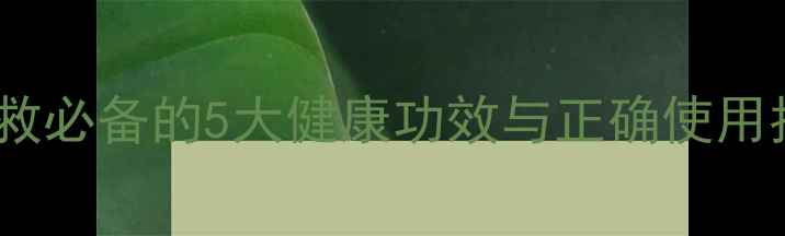 图片 创可贴养生妙用：家庭急救必备的5大健康功效与正确使用指南（附中医护理要点）1