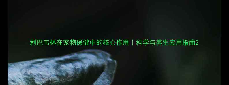 图片 利巴韦林在宠物保健中的核心作用｜科学与养生应用指南2