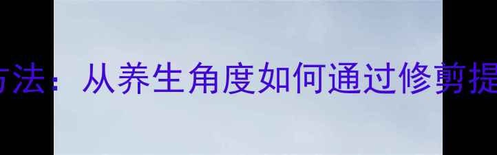 图片 剪斜刘海最简单的方法：从养生角度如何通过修剪提升面部气血与气质2