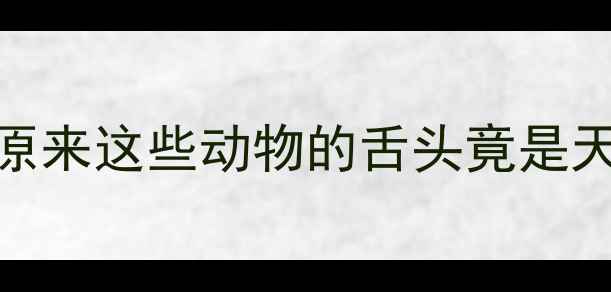 图片 动物舌头养生法｜原来这些动物的舌头竟是天然长寿密码！🦓🦷