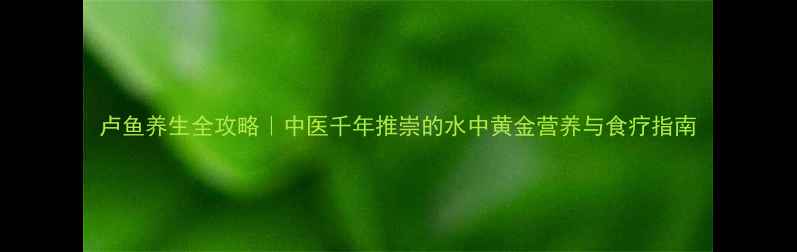 图片 卢鱼养生全攻略｜中医千年推崇的水中黄金营养与食疗指南