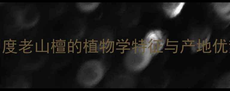 图片 印度老山檀的植物学特征与产地优势