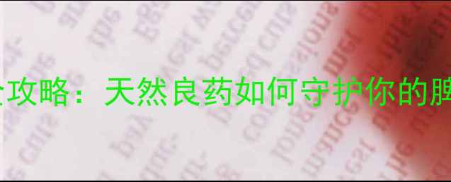 图片 厚朴养生全攻略：天然良药如何守护你的脾胃健康？2