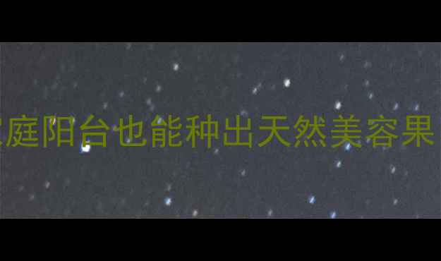 图片 吉庆果养生种植全攻略｜家庭阳台也能种出天然美容果！高颜值高营养的种植指南