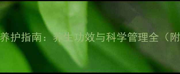 图片 君子兰家庭养护指南：养生功效与科学管理全（附养护口诀）