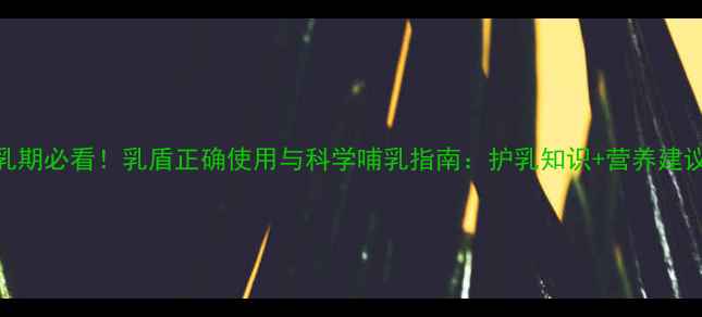 图片 哺乳期必看！乳盾正确使用与科学哺乳指南：护乳知识+营养建议全