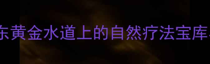 图片 商丘养生必去！豫东黄金水道上的自然疗法宝库与康养胜地全攻略2