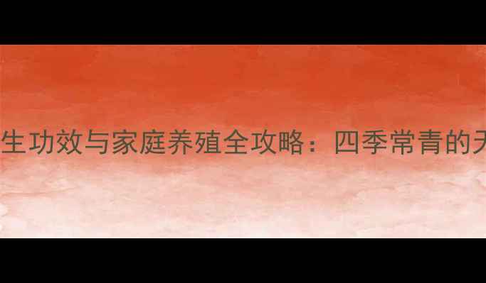 图片 四季梅的养生功效与家庭养殖全攻略：四季常青的天然保健树2