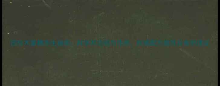 图片 国珍木寡糖养生指南：科学其功效与作用，权威配方推荐及食用建议