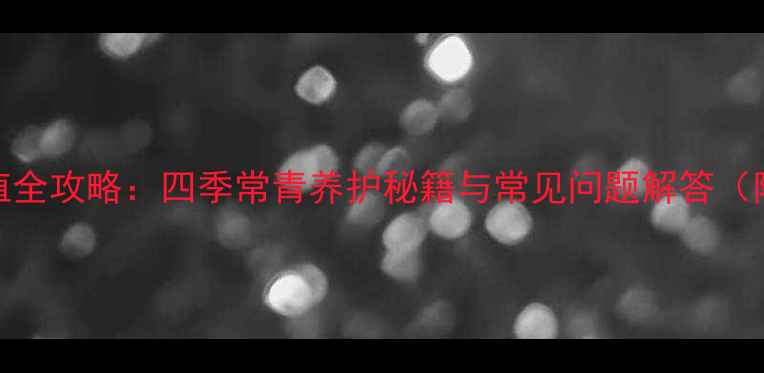 图片 圆叶吊兰家庭种植全攻略：四季常青养护秘籍与常见问题解答（附科学养护步骤）