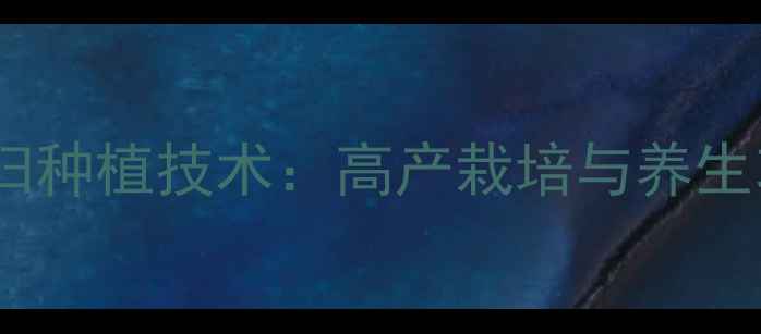 图片 地膜当归种植技术：高产栽培与养生功效全1